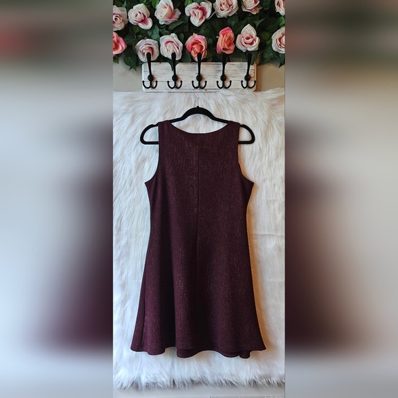 Jolie Cranberry Dream Knit Skater Dress - Picture 4 of 6
